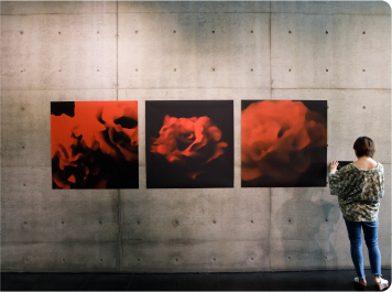 視覚デザイン学科の写真・映像